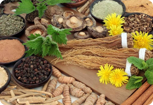 The Benefits of Adaptogens: Why You Need Them in Your Diet