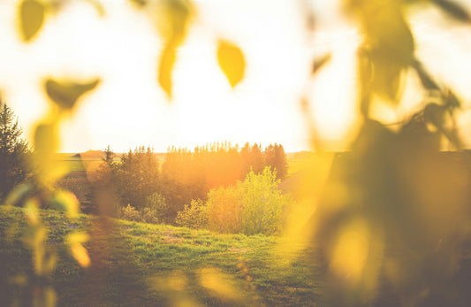 How Long Does Vitamin D3 Stay in Your System?