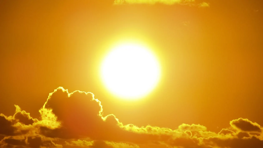 Vitamin D3 Benefits: The Sunshine Vitamin