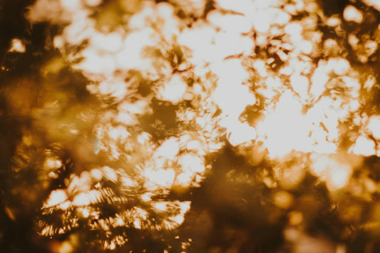 How Much Vitamin D3 Should I Take? A Complete Guide