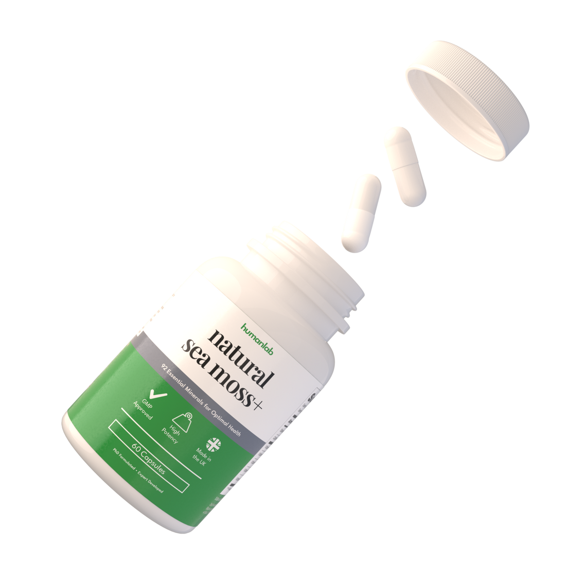What is the best sea moss supplement in 2025