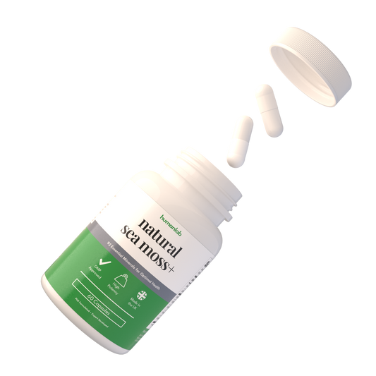 What is the best sea moss supplement in 2025
