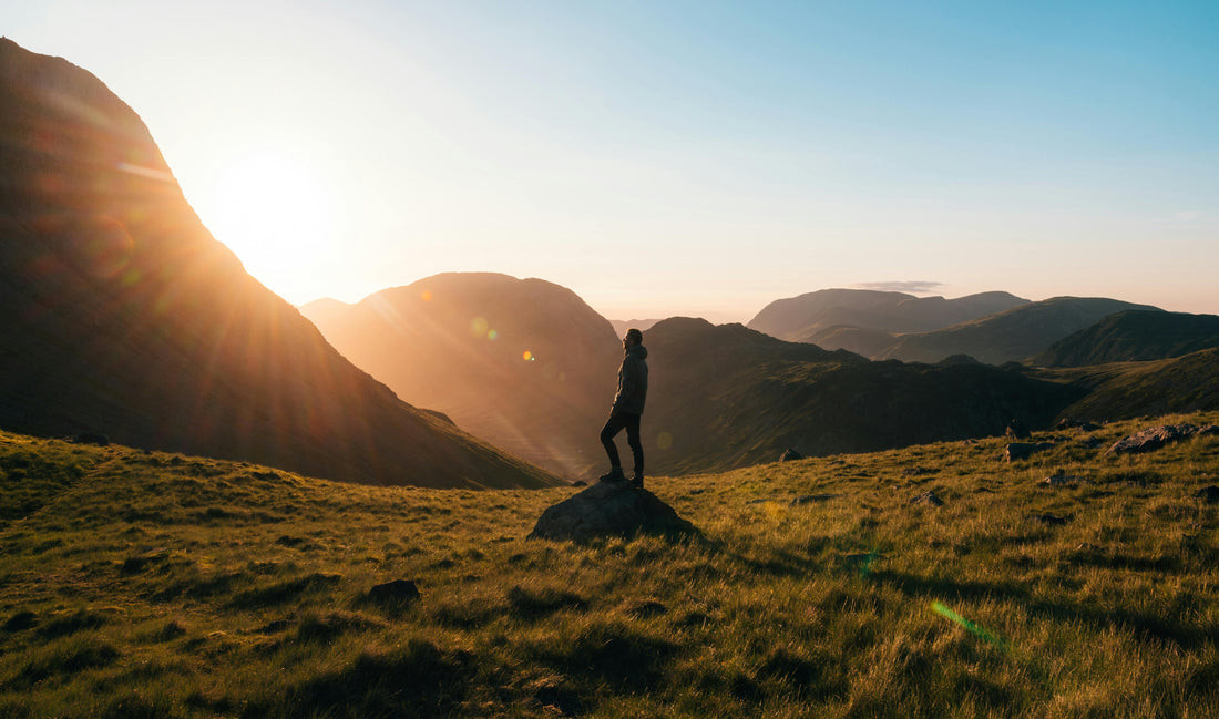 What Is the Best Form of Vitamin D to Take?